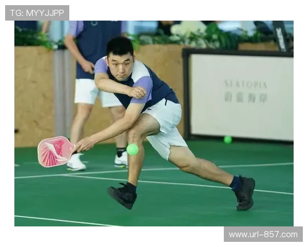 匹克球协会会长王庆民谈该项运动成潮流原因